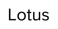 Ремонт стиральных машин Lotus в Электроуглях